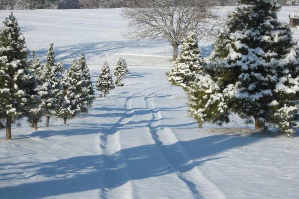 Rural Life On A Real Christmas Tree Farm! Hallmark Experience! Ozark Bagian luar foto