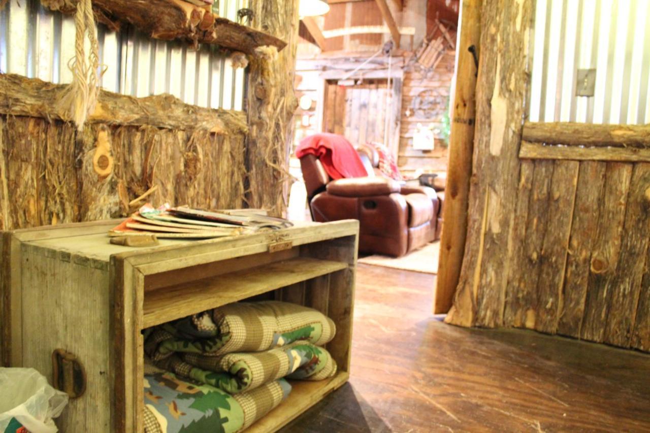 Rural Life On A Real Christmas Tree Farm! Hallmark Experience! Ozark Bagian luar foto