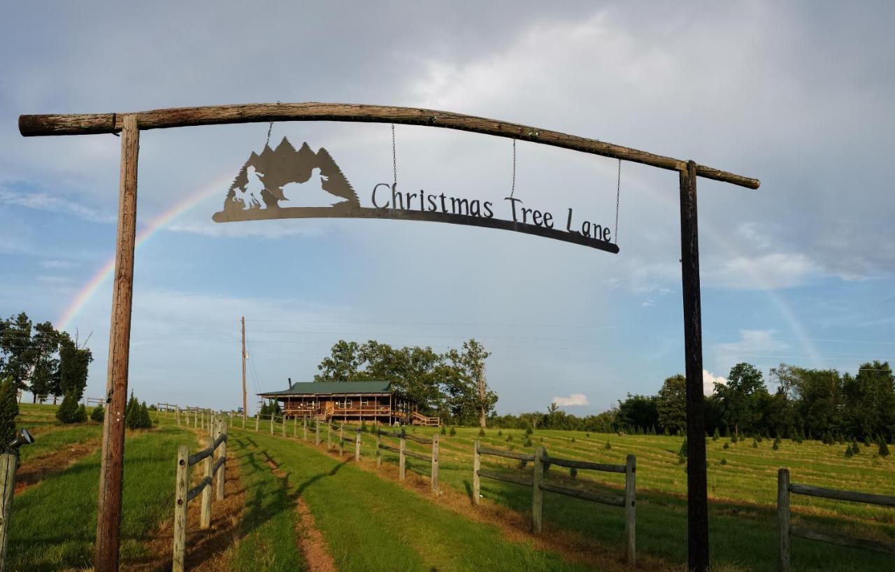 Rural Life On A Real Christmas Tree Farm! Hallmark Experience! Ozark Bagian luar foto