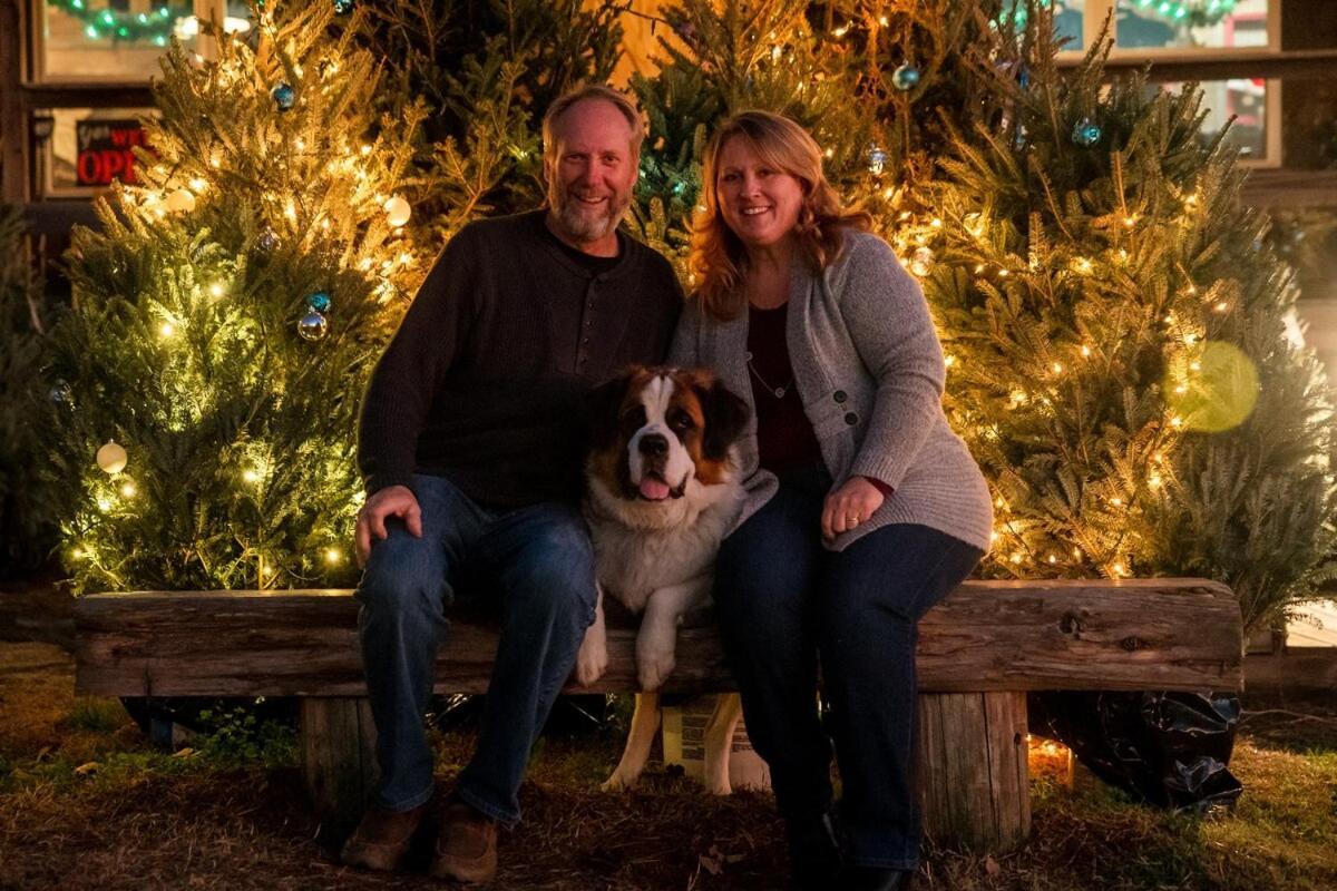 Rural Life On A Real Christmas Tree Farm! Hallmark Experience! Ozark Bagian luar foto