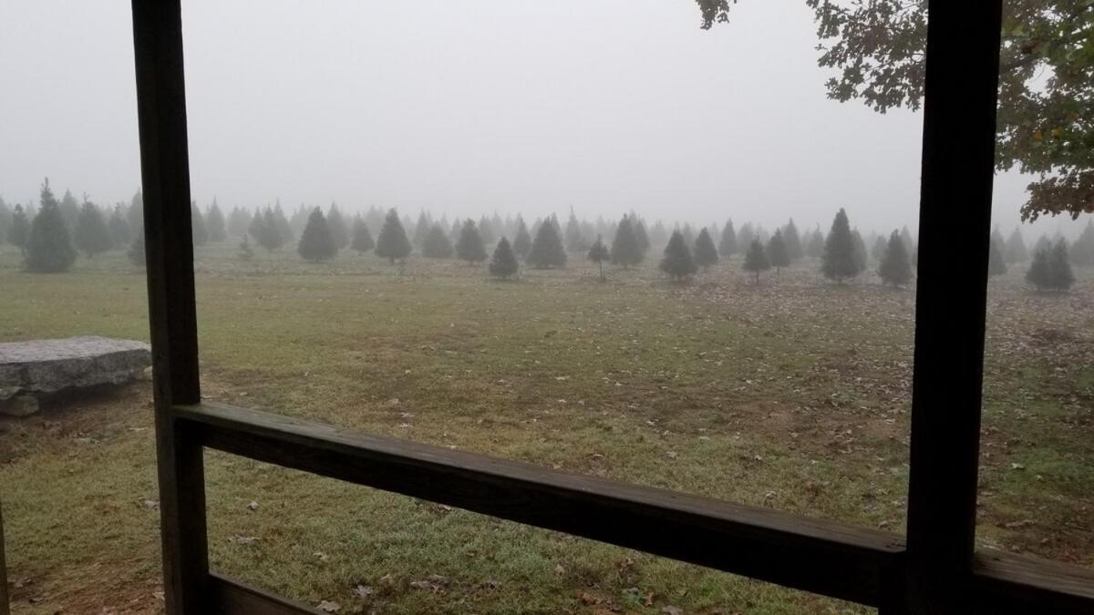 Rural Life On A Real Christmas Tree Farm! Hallmark Experience! Ozark Bagian luar foto