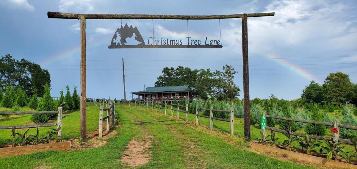 Rural Life On A Real Christmas Tree Farm! Hallmark Experience! Ozark Bagian luar foto